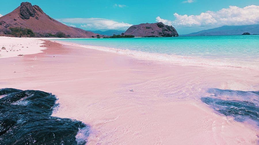 pink beach.jpg